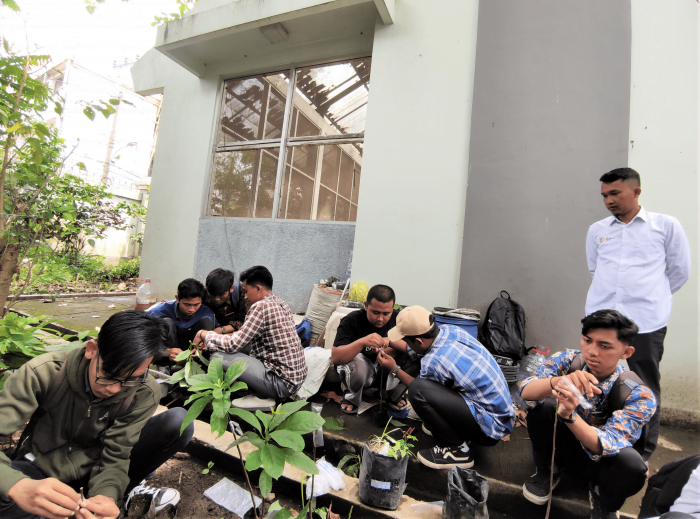 PERBANYAK VARIETAS ALPUKAT, MAHASISWA BIOLOGI PERDALAM TEKNIK SAMBUNG PUCUK