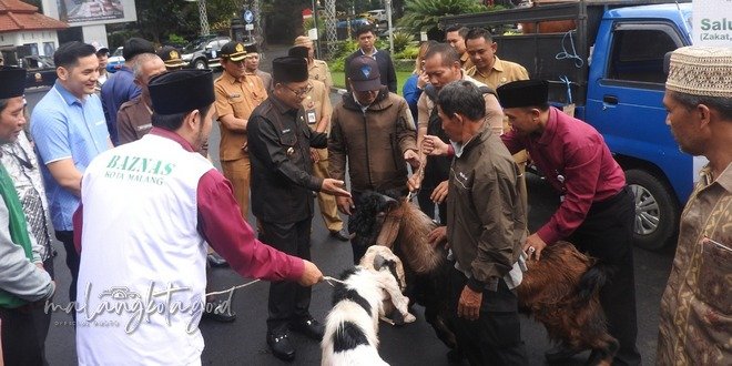 Wali Kota Malang Secara Simbolis Menyerahkan Hewan Kurban