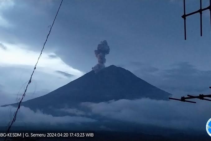 Gunung Semeru Erupsi Setinggi 1,5 Km