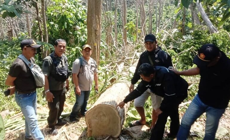Polres Malang Tangkap Tersangka Pencurian Kayu Jati di Hutan Produksi