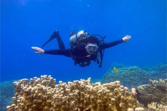 Menggali Keindahan Bawah Laut Taman Nasional Karimunjawa: Surga Snorkeling dan Diving di Jawa Timur