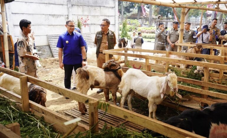 Idul Adha 1445 H, Pemkot Batu Pastikan Hewan Kurban Aman Dikonsumsi