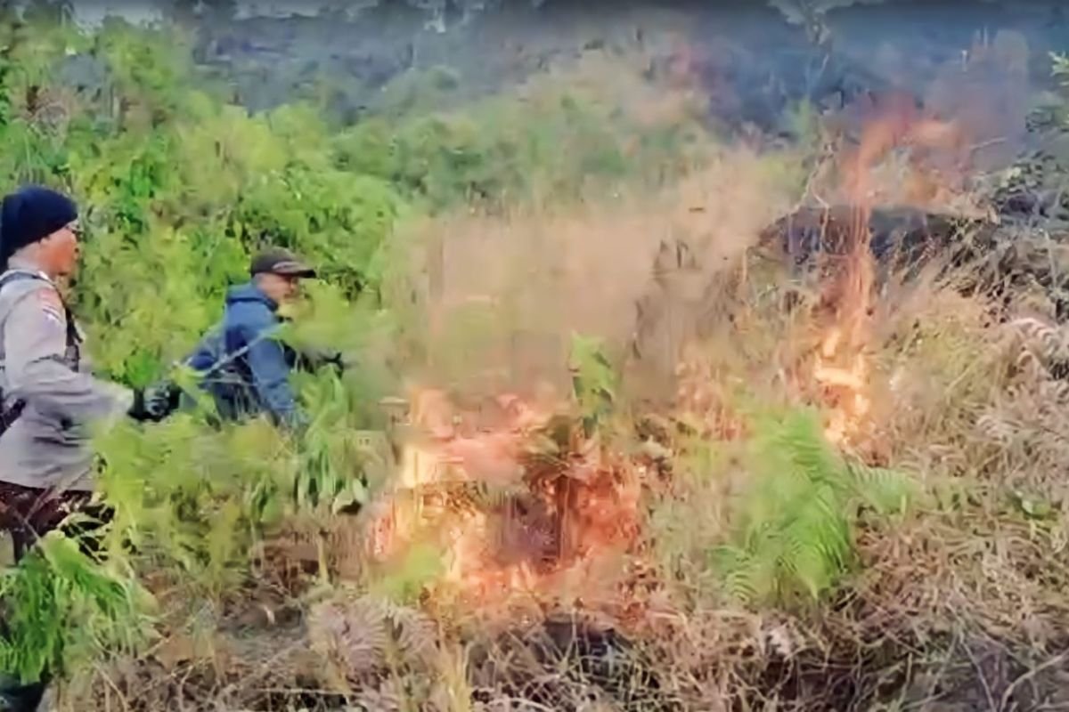 Tim Gabungan Berhasil Padamkan Kebakaran di Lereng Arjuno