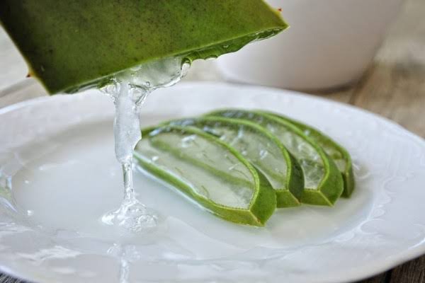 Manfaat Detergen Alami Tumbuhan Aloe Vera