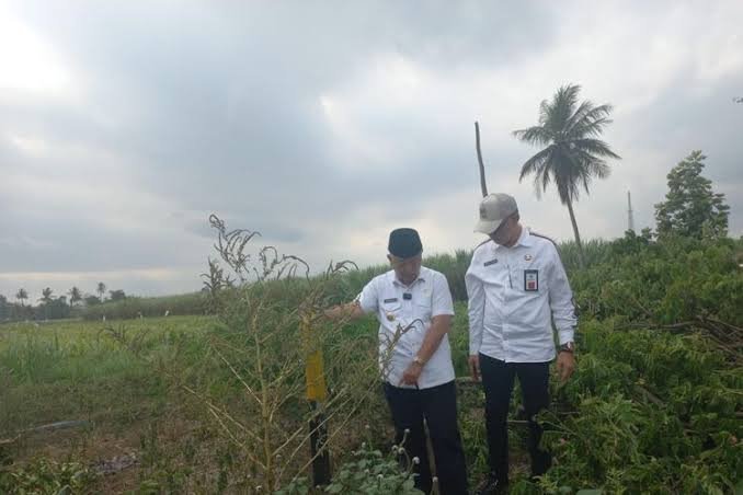 Perbaikan Jalan Wisata Pantai Selatan Malang, Statusnya Jadi Jalan Nasional