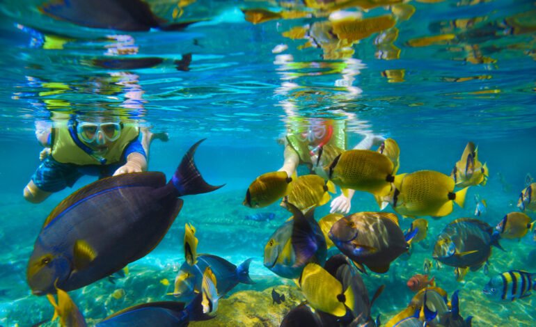 Snorkeling di Malang