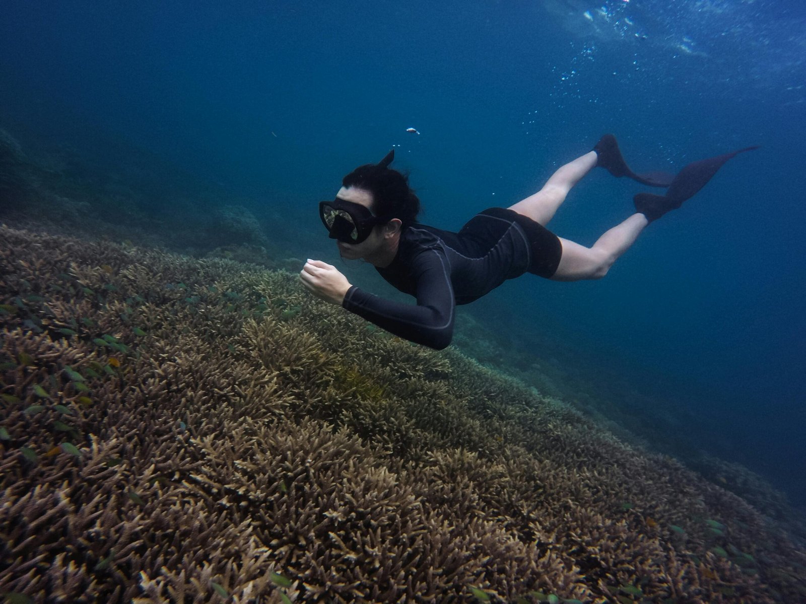 Manfaat Kesehatan Free Diving Yang Perlu Anda Ketahui