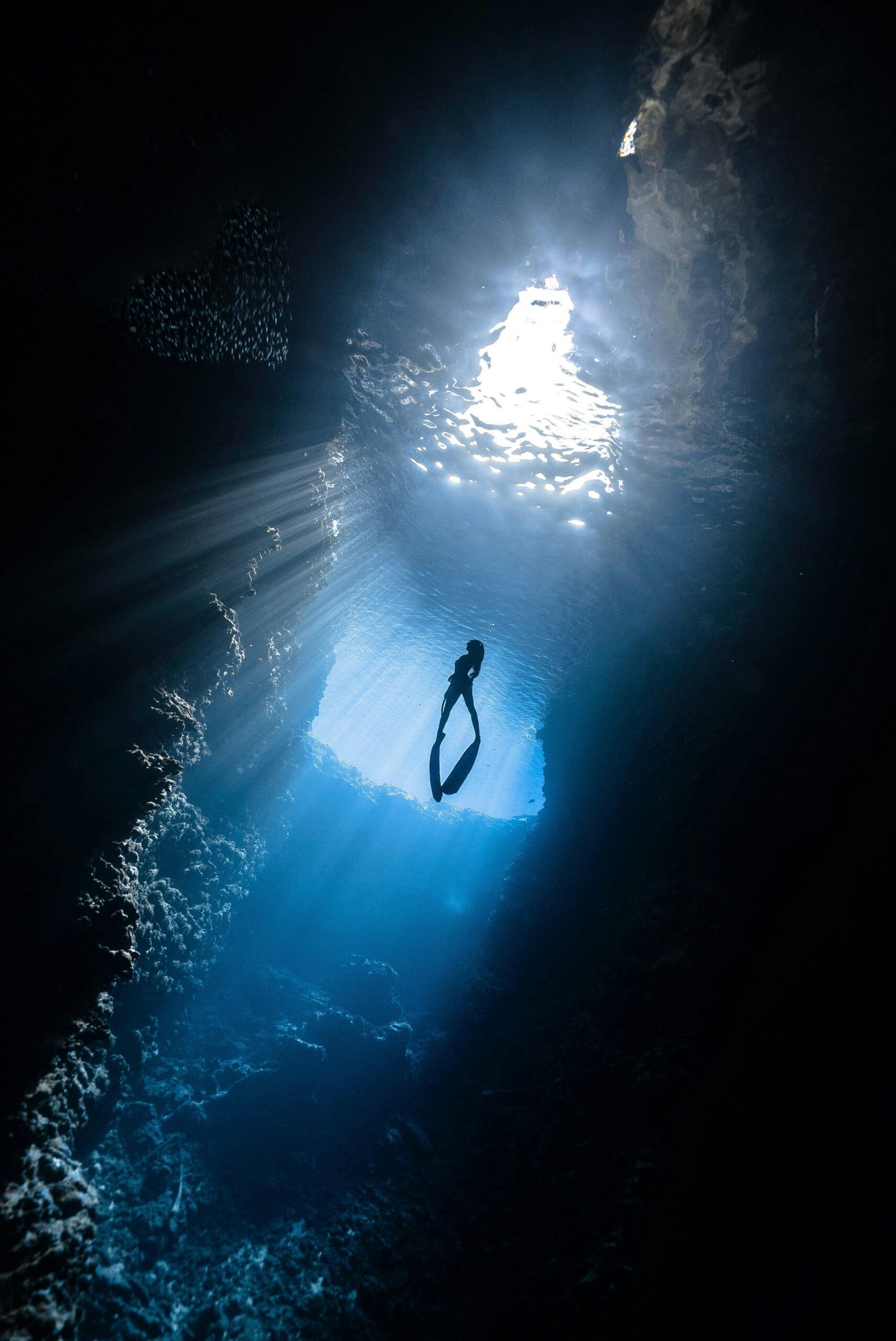 Berita Terbaru Dan Tren Dalam Dunia Free Diving