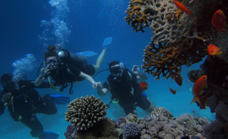 Free Diving Vs Snorkeling