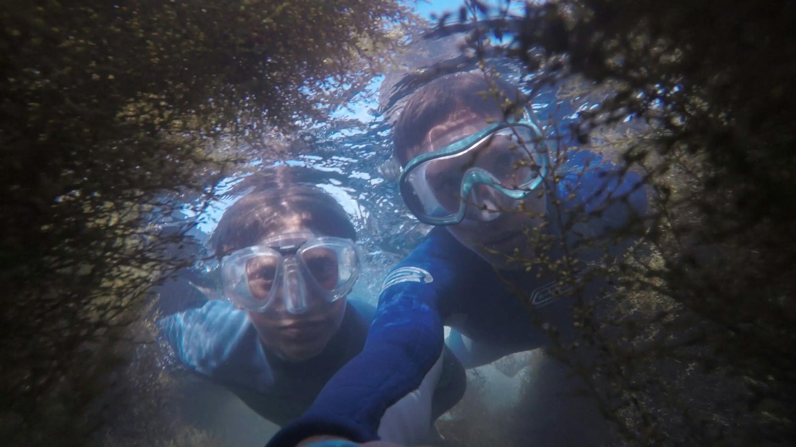 Pelajari Biologi Laut Melalui Free Diving Di sini!