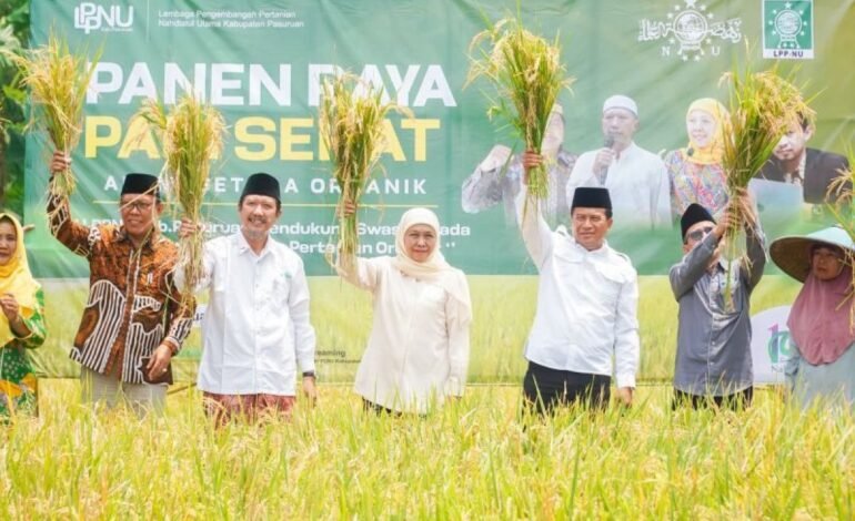 Khofifah Panen Raya Padi Sehat di Pasuruan