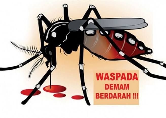 Kasus DBD di Kabupaten Malang Tembus 673, Dinkes Gencarkan GERMAS dan PSN untuk Tekan Lonjakan