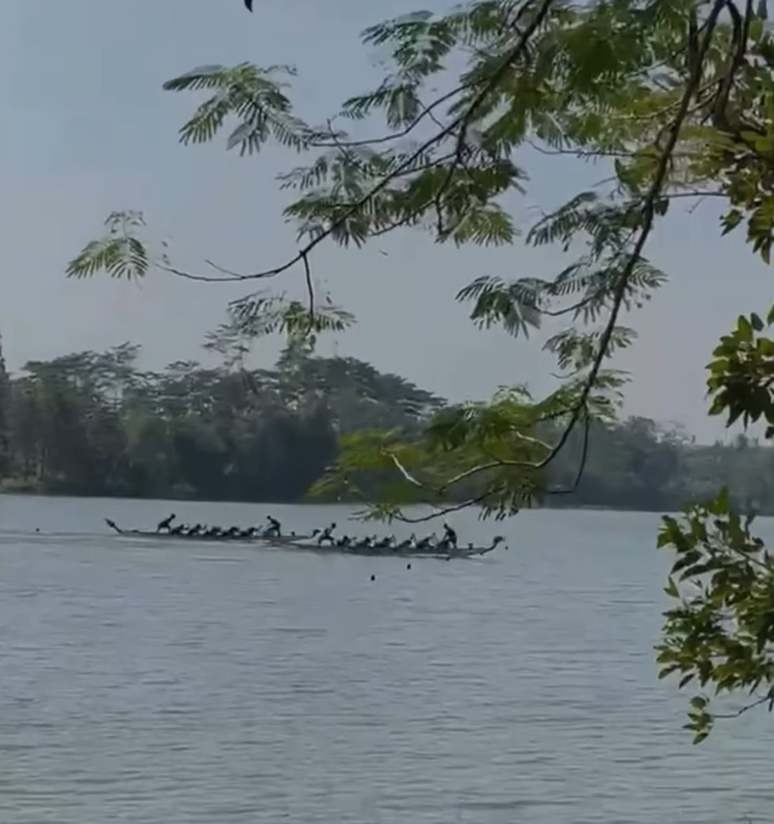 Debut Manis dari Perairan Lahor! Kabupaten Malang Sabet Perunggu di Cabor Dayung