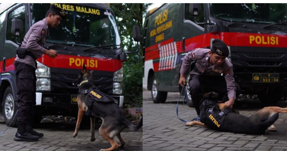 Polres Malang Perkuat Kesiapsiagaan Bencana, Unit K9 Kini Miliki Anjing Pelacak Jenazah