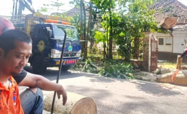 Angin Kencang Tumbangkan Pohon Besar di Jalan Jakarta Kota Malang, Kabel Listrik dan Pagar Warga Tertimpa
