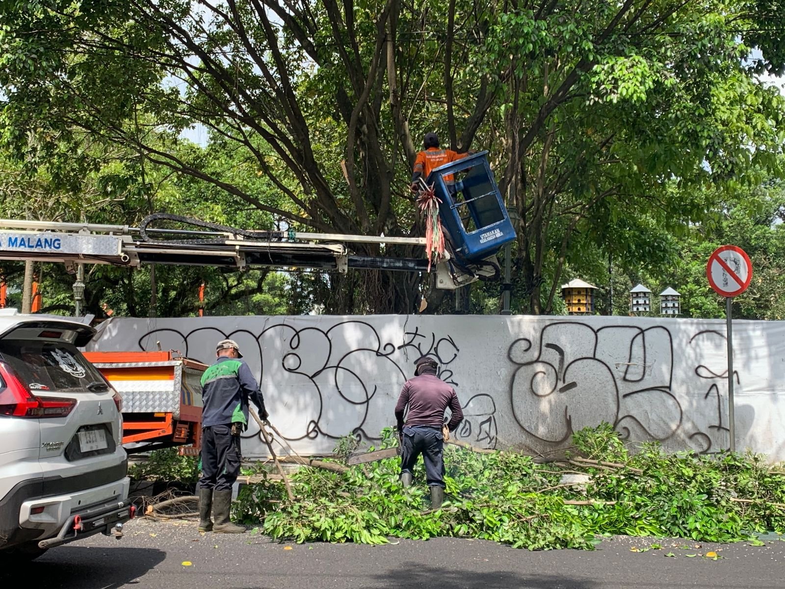Antisipasi Dampak Angin Kencang, DLH Kota Malang Pangkas Pohon Tua di Kawasan Alun-Alun