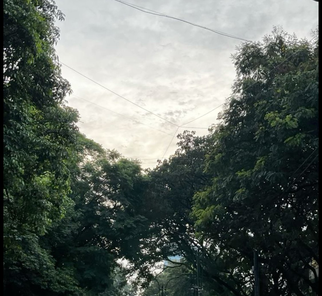 Cuaca Kota Malang Hari Ini Didominasi Hujan Ringan, Suhu 20–28 Derajat Celsius