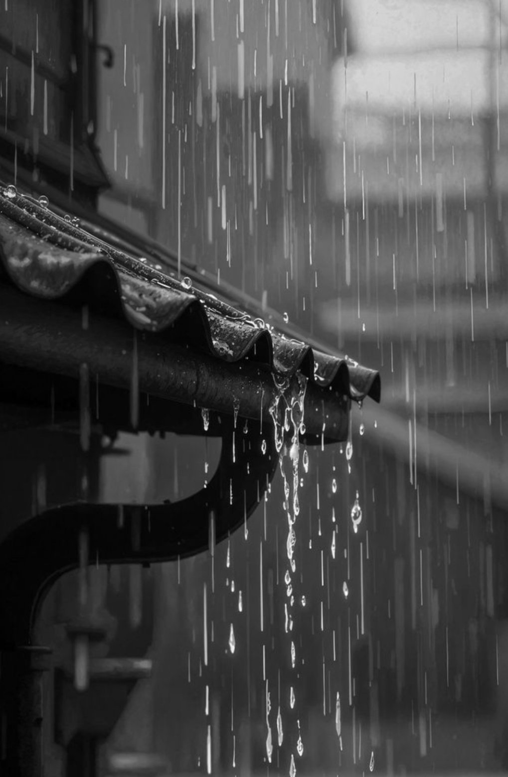 Cuaca Kota Malang Hari Ini Jumat 6 Februari 2026 Berpotensi Hujan Petir