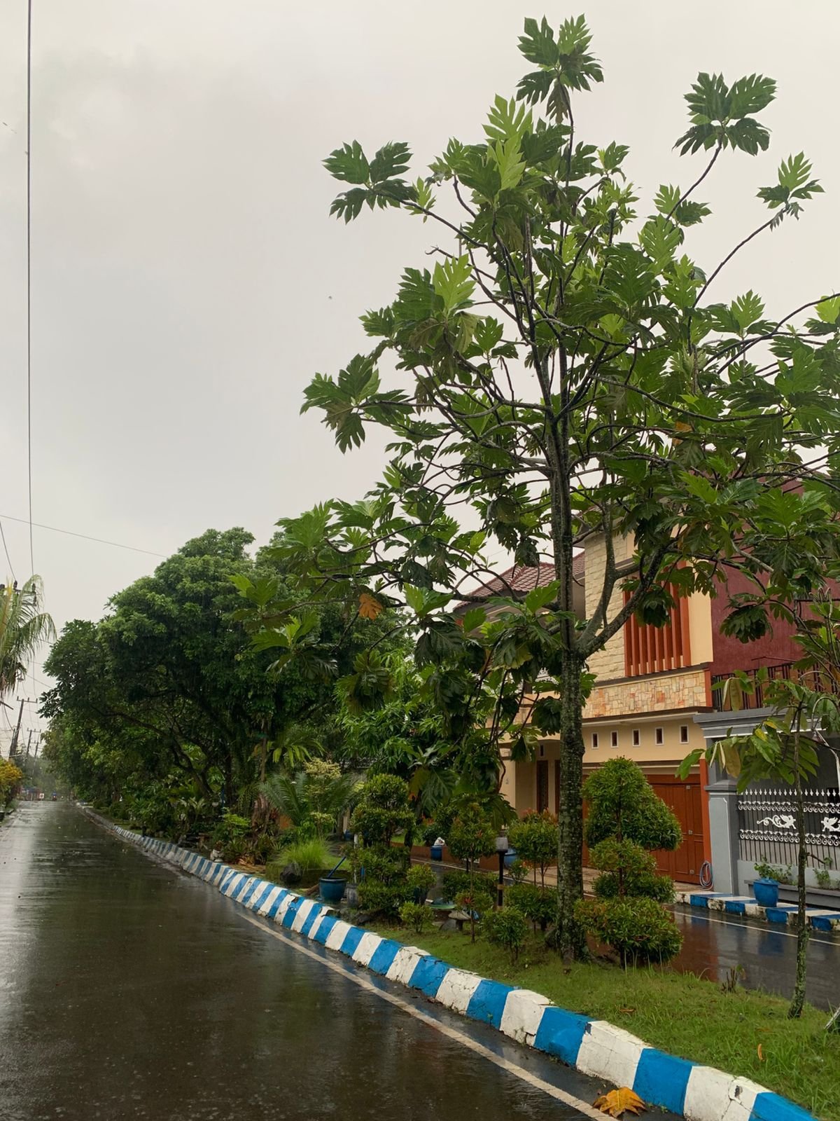 Cuaca Kota Malang Hari Ini Didominasi Hujan Ringan