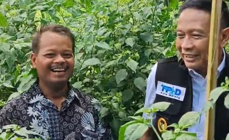 Jelang Idulfitri, Harga Cabai Tembus Rp100 Ribu per Kg, TPID Kota Malang Siapkan Langkah Intervensi