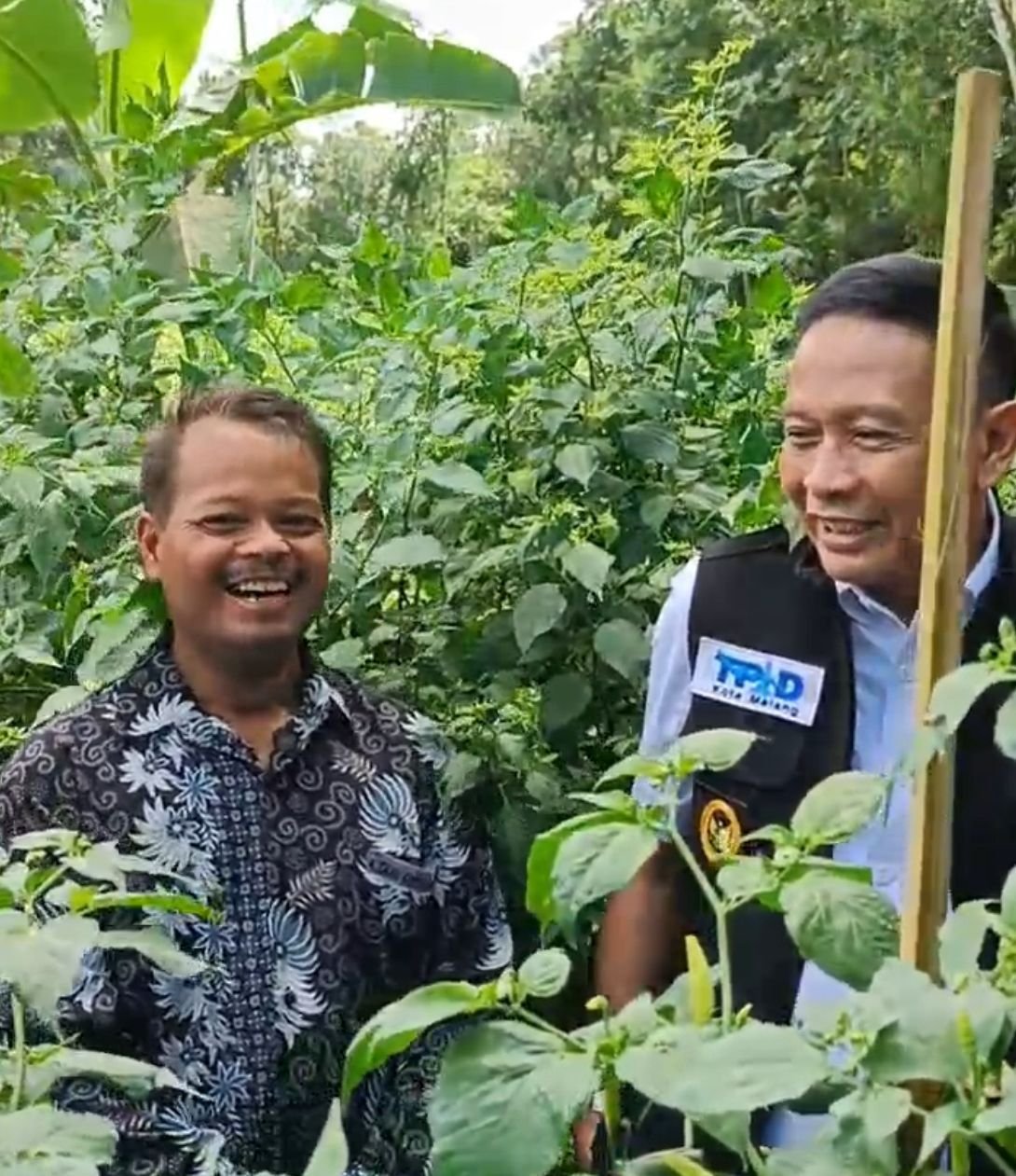 Jelang Idulfitri, Harga Cabai Tembus Rp100 Ribu per Kg, TPID Kota Malang Siapkan Langkah Intervensi