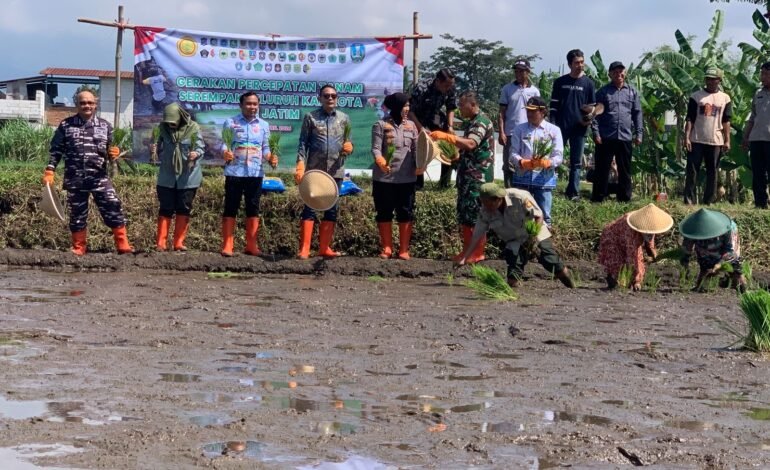 Produksi Padi Digenjot, Pemkot Malang Turunkan 10 Ton Benih untuk Petani