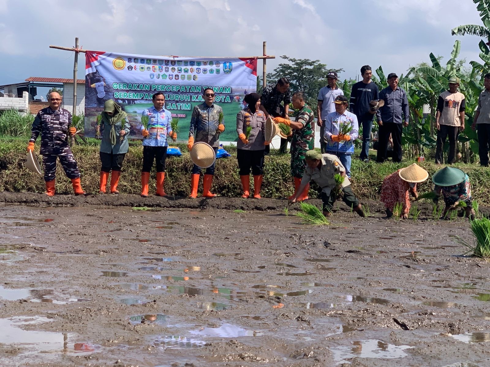 Produksi Padi Digenjot, Pemkot Malang Turunkan 10 Ton Benih untuk Petani