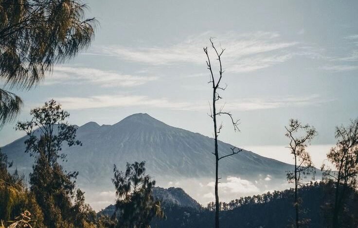 Pendakian Gunung Arjuno-Welirang Dibuka Lagi Setelah 6 Bulan Ditutup
