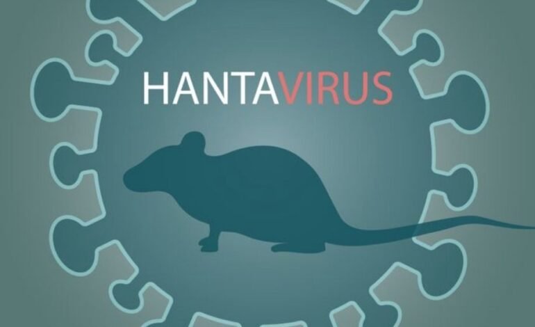 Dinkes Kota Malang Ingatkan Risiko Hantavirus Saat Bersihkan Gorong-Gorong, Warga Diminta Pakai APD