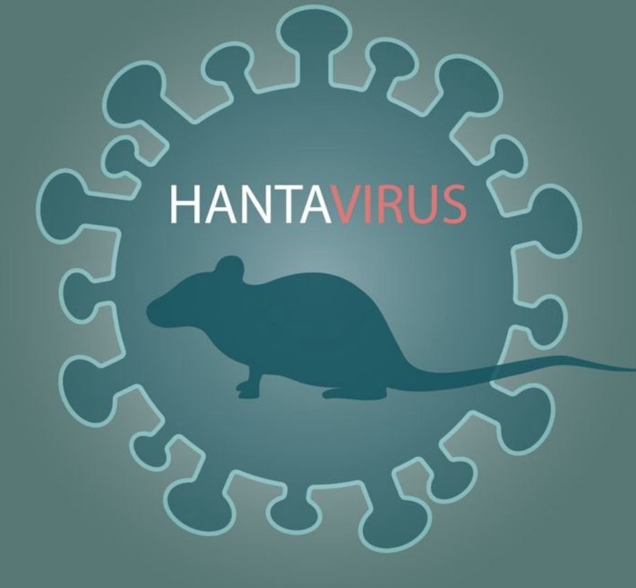 Dinkes Kota Malang Ingatkan Risiko Hantavirus Saat Bersihkan Gorong-Gorong, Warga Diminta Pakai APD