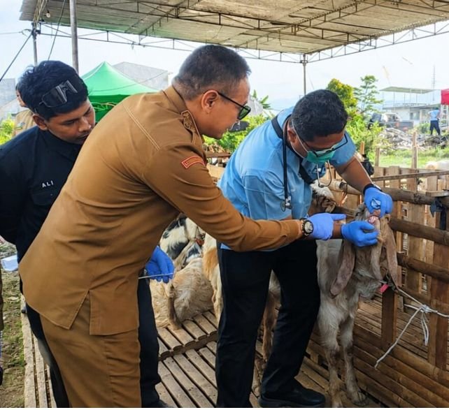 Wali Kota Malang Pastikan Hewan Kurban Sehat, Pengawasan Diperketat hingga Proses Penyembelihan
