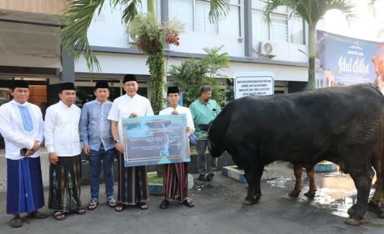 Sapi Kurban Presiden untuk Kota Malang Tembus 1 Ton, Diserahkan ke Masjid Sabilillah