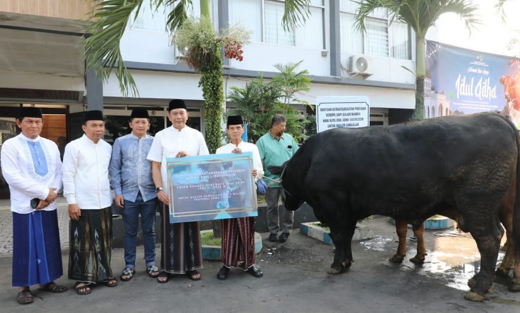 Sapi Kurban Presiden untuk Kota Malang Tembus 1 Ton, Diserahkan ke Masjid Sabilillah