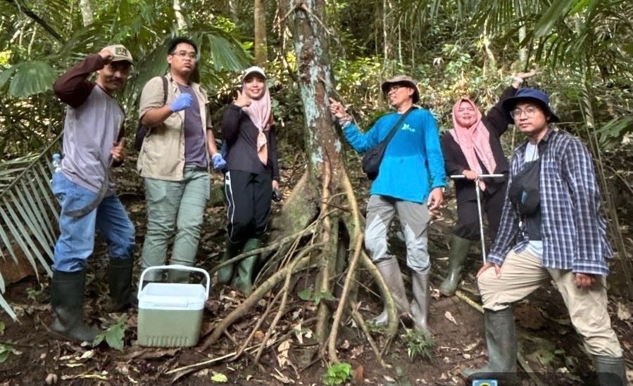 Riset UM Ungkap 123 Sinyal Metabolit Pala Jawa, Perkuat Basis Konservasi