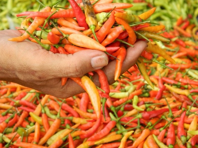 Harga Bahan Pokok di Kota Malang Awal Agustus Stabil, Cabai Rawit Masih Tembus Rp43 Ribu per Kilogram