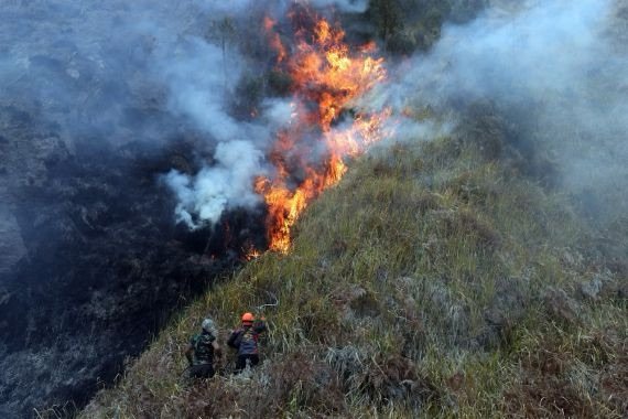 921 Hektare Karhutla Bromo Terdampak, 540 Personel Gabungan Dikerahkan Padamkan Api