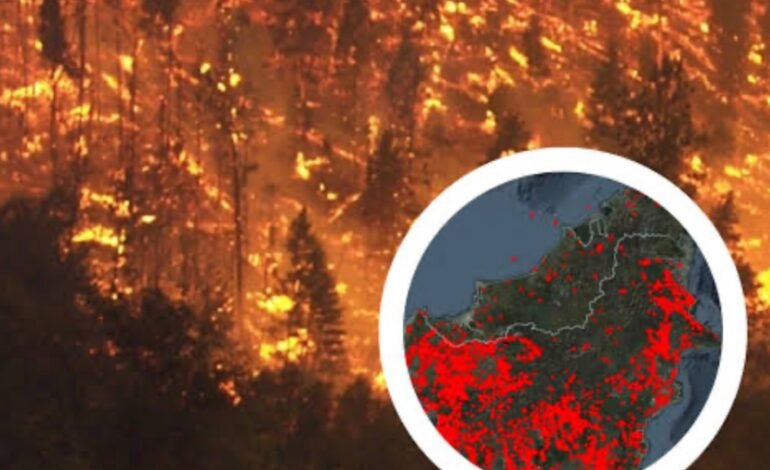 Malaysia Siap Buka Wilayah Udara untuk Bantu Indonesia Tangani Karhutla Kalimantan
