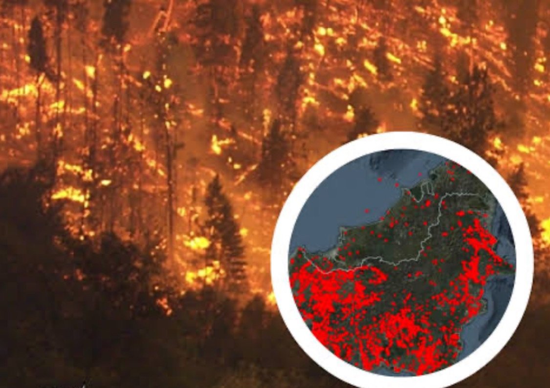Malaysia Siap Buka Wilayah Udara untuk Bantu Indonesia Tangani Karhutla Kalimantan