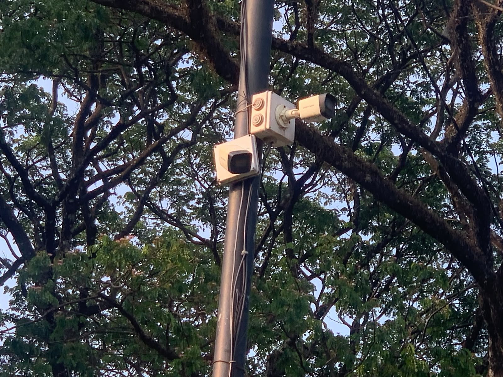 90 Lebih Taman Kota Malang Cuma Dijaga 9 Petugas, DLH Siapkan CCTV Cegah Aksi Mesum