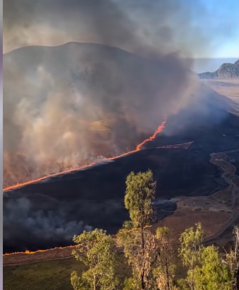 Api Gunung Bromo Meluas ke Jemplang Malang, Wisata Bromo Ditutup Total