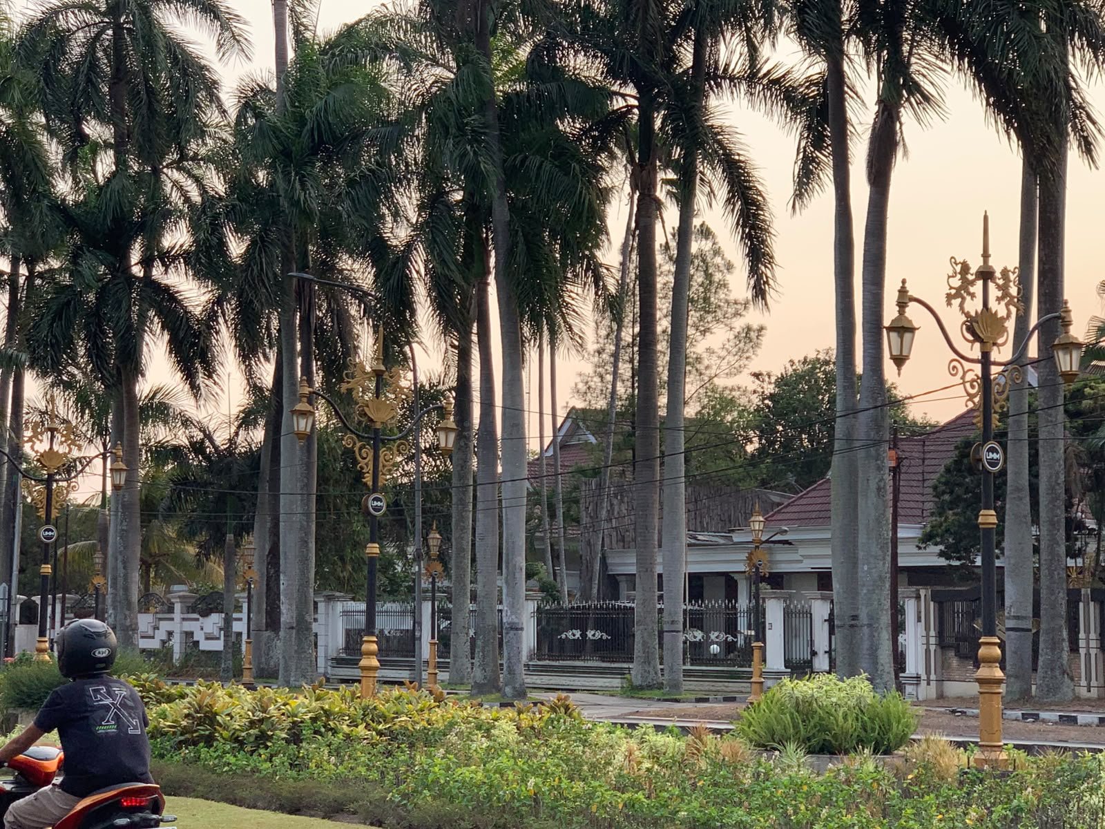 DLH Kota Malang Optimalkan Perawatan Taman di Tengah Keterbatasan Anggaran