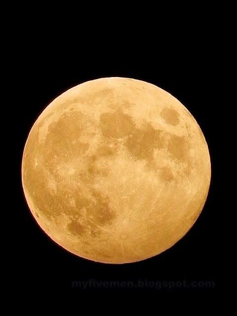 Hunters Moon Muncul 26 Oktober, Ini Waktu Terbaik Mengamatinya
